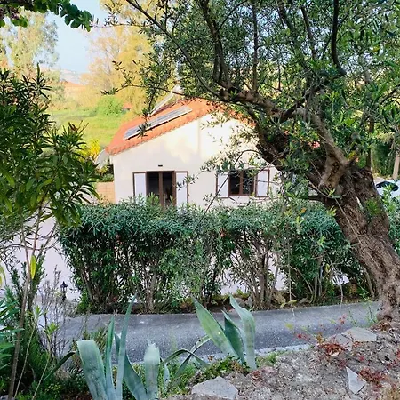 Garden * Gialova