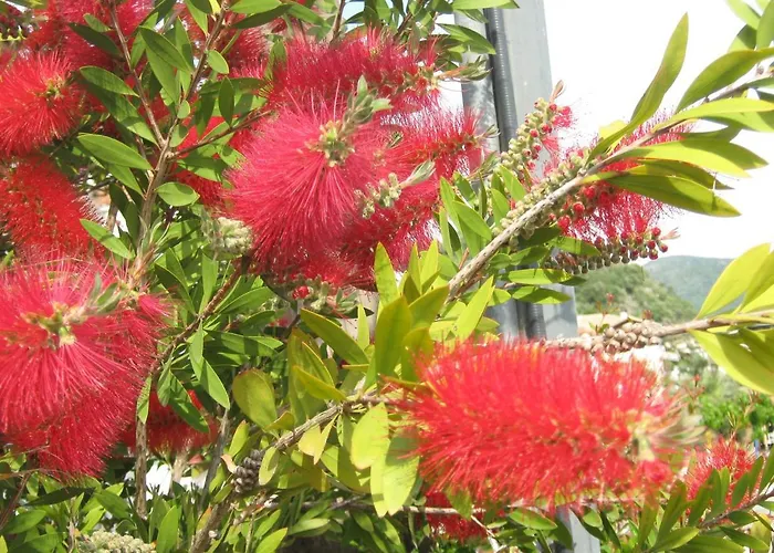 Дом отдыха Garden *